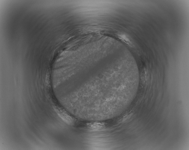 X0000062790359200601051052