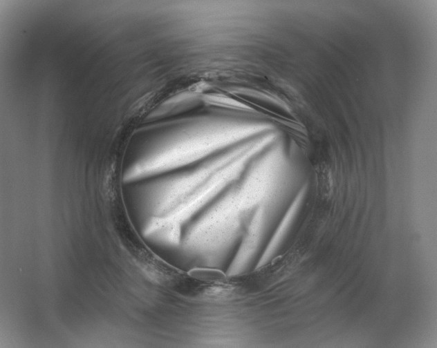 X0000062790364200601051052