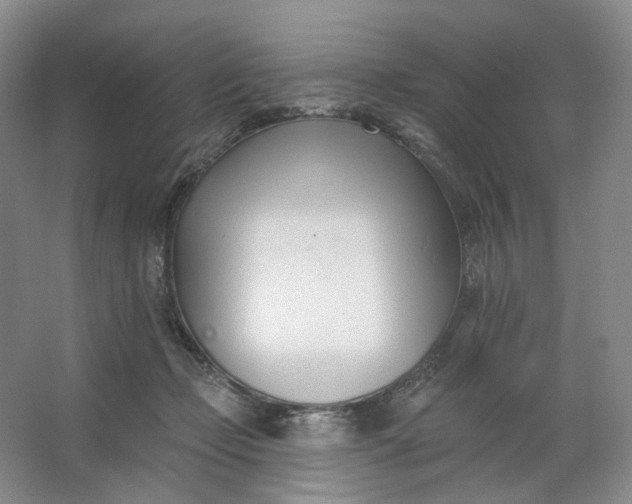 X0000062790365200601051052