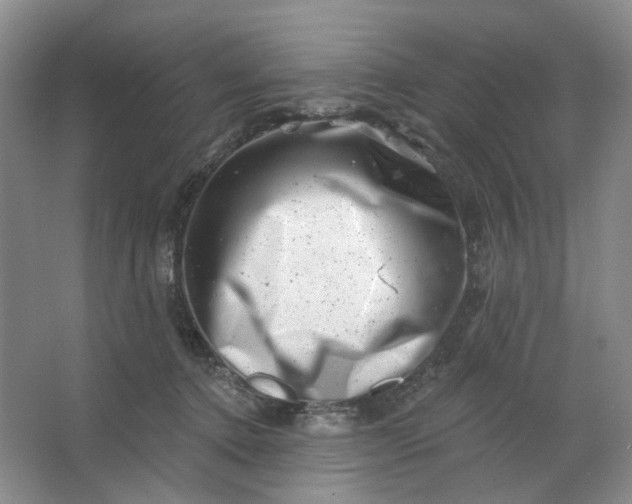 X0000062790368200601051052