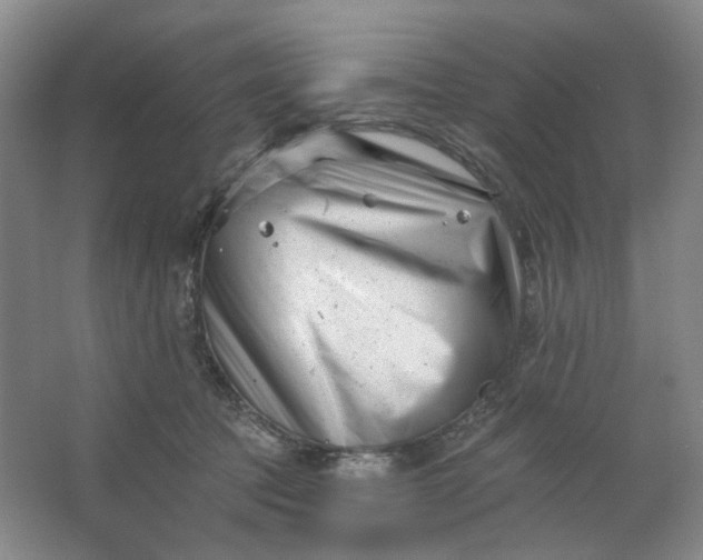 X0000062790369200601051052