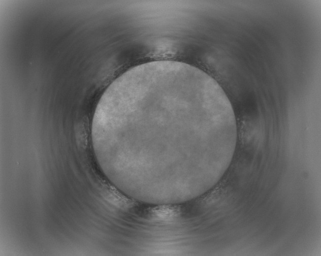 X0000062790370200601051052