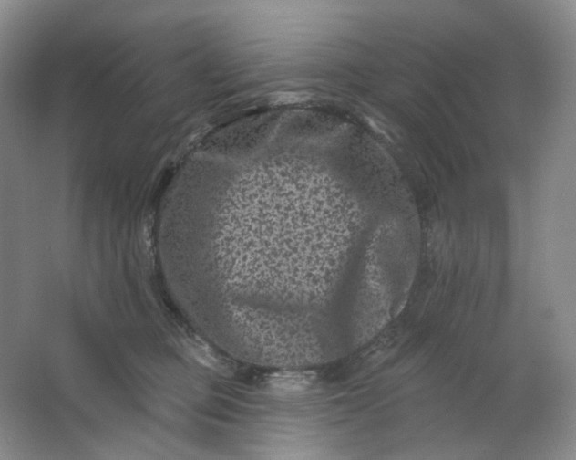 X0000062790373200601051052
