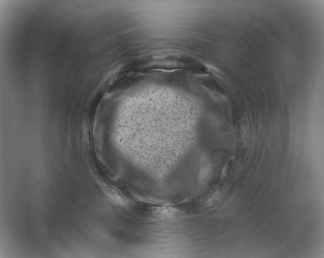 X0000062790379200601051052