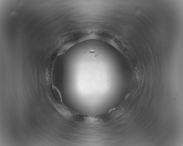 X0000062790380200601051052