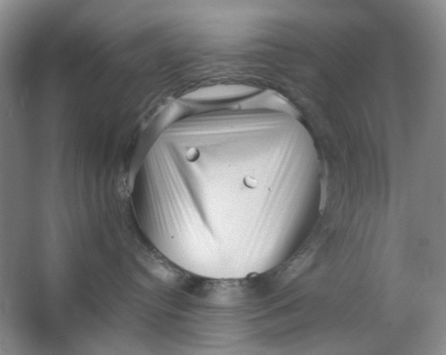 X0000062790384200601051052