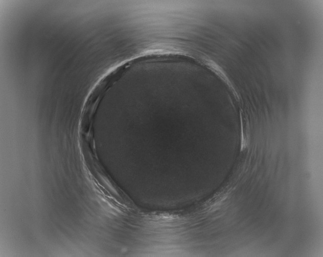 X0000062790387200601051051