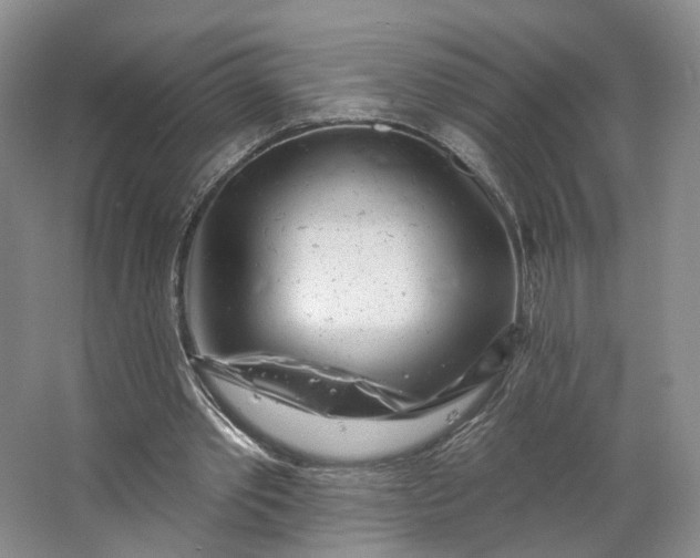 X0000062790389200601051051