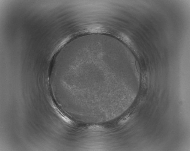 X0000062790397200601051051