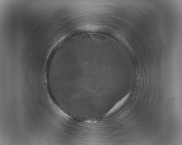 X0000062790399200601051051
