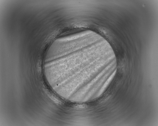 X0000062790402200601051051