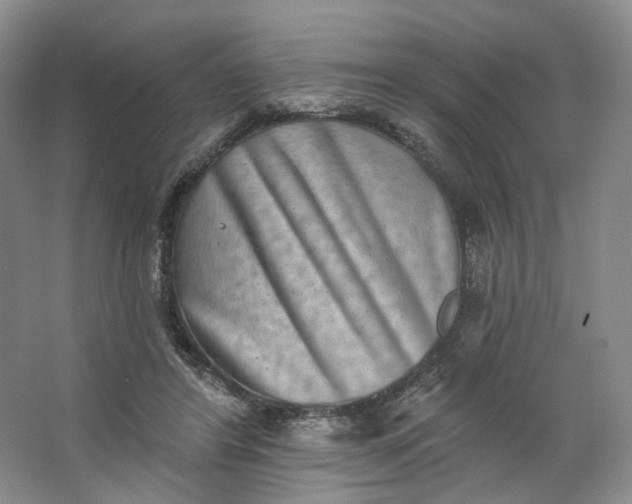 X0000062790404200601051051