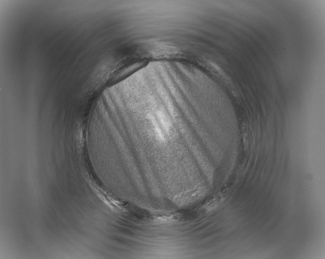 X0000062790405200601051051
