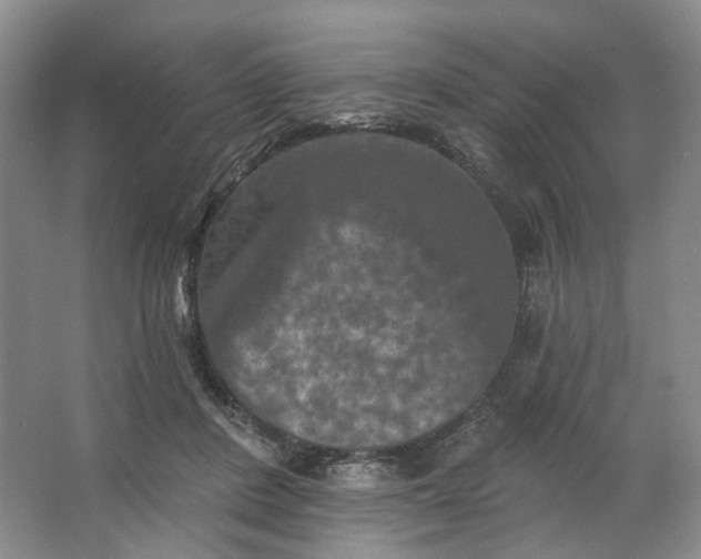 X0000062790408200601051051