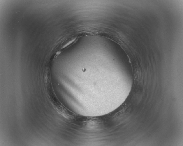 X0000062790412200601051051