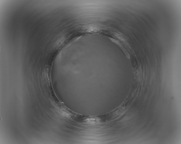 X0000062790415200601051051
