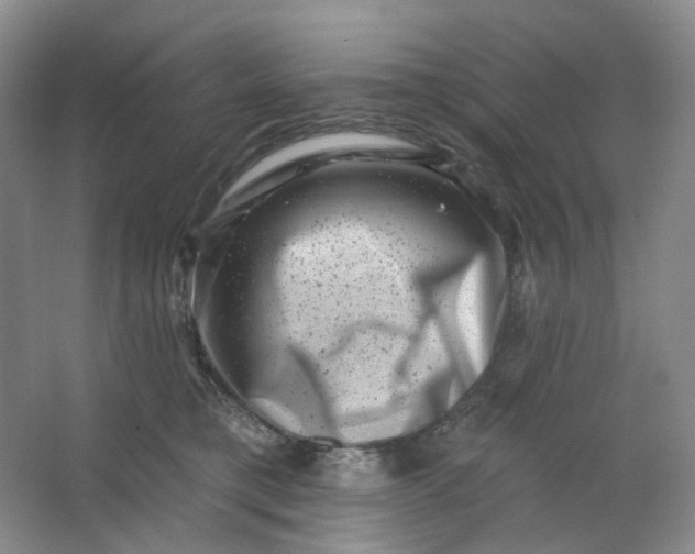 X0000062790421200601051051