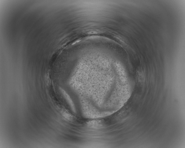 X0000062790422200601051050