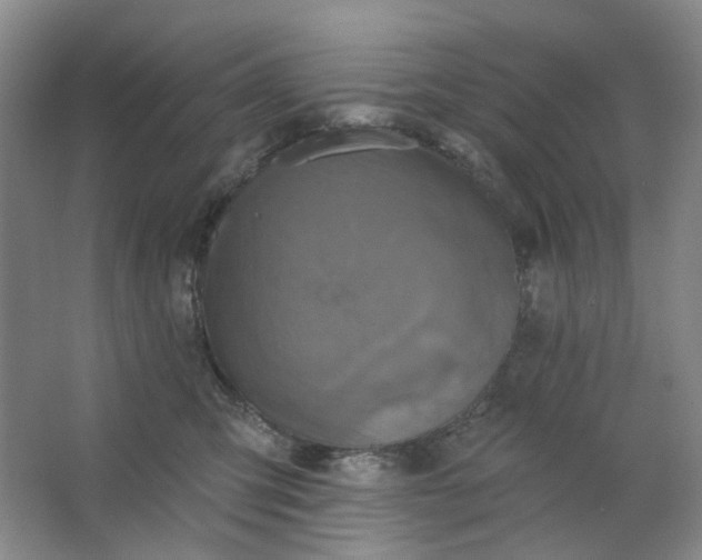 X0000062790423200601051050