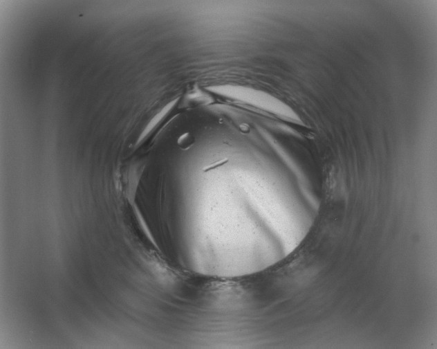 X0000062790424200601051050