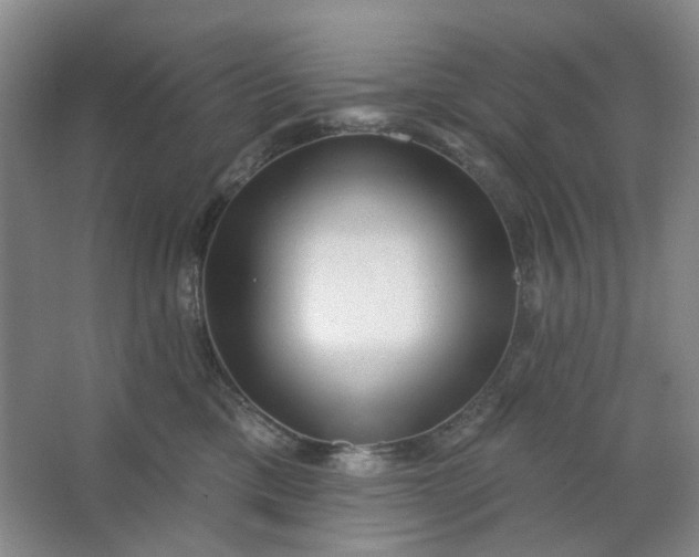X0000062790425200601051050