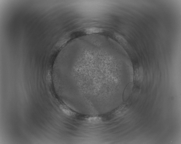 X0000062790426200601051050