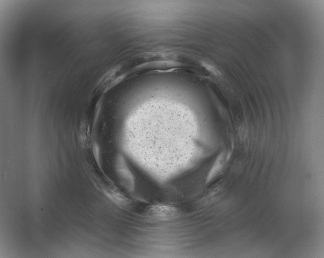 X0000062790429200601051050