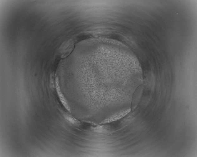 X0000062790430200601051050
