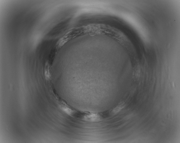 X0000062790431200601051050