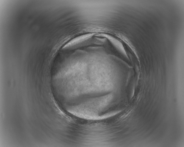 X0000062790433200601051050