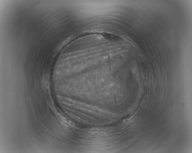 X0000062790434200601051050