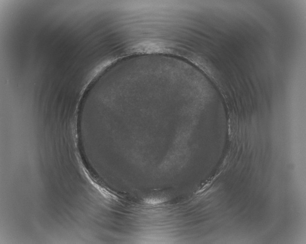 X0000062790438200601051050