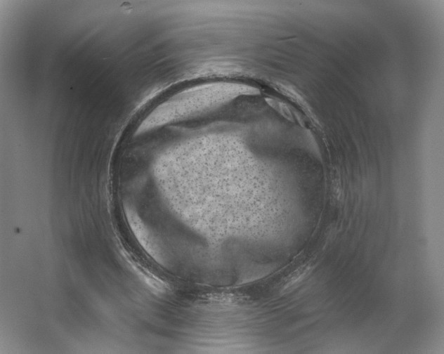 X0000062790439200601051050