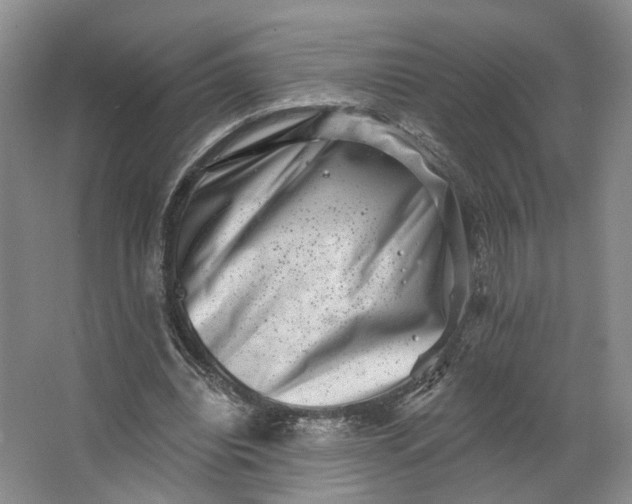 X0000062790440200601051050