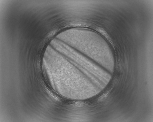 X0000062790441200601051050