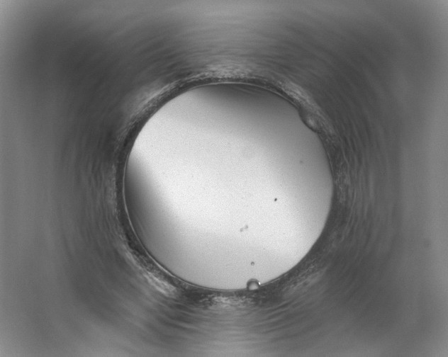 X0000062790442200601051050