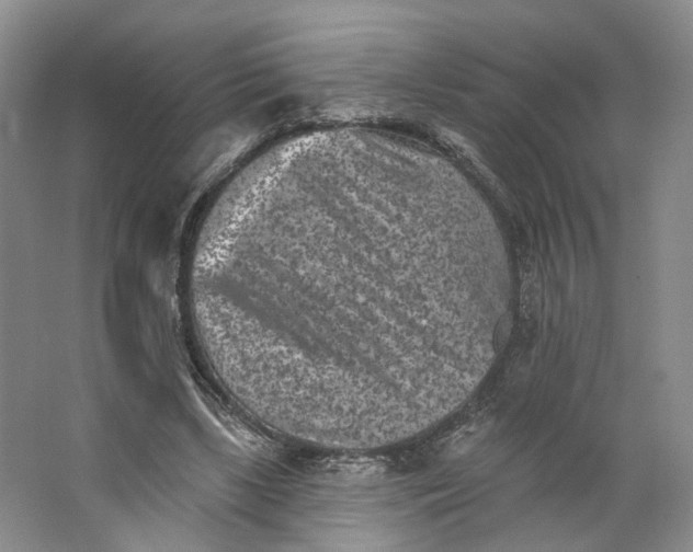 X0000062790443200601051050