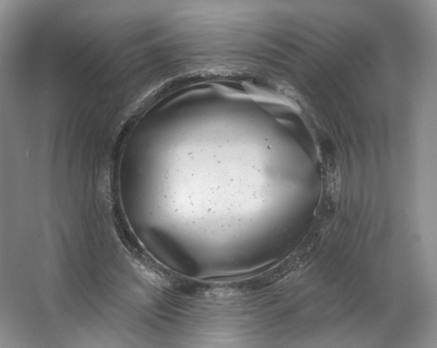 X0000062790444200601051050