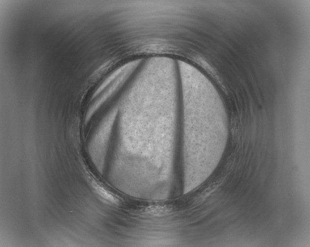 X0000062790445200601051050