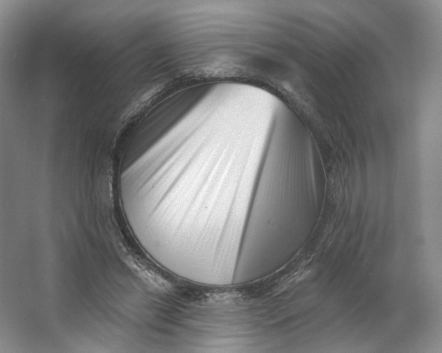 X0000062790446200601051050