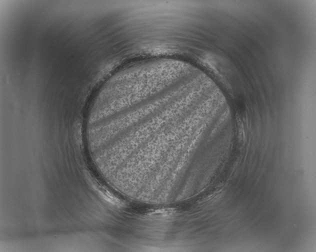 X0000062790447200601051050