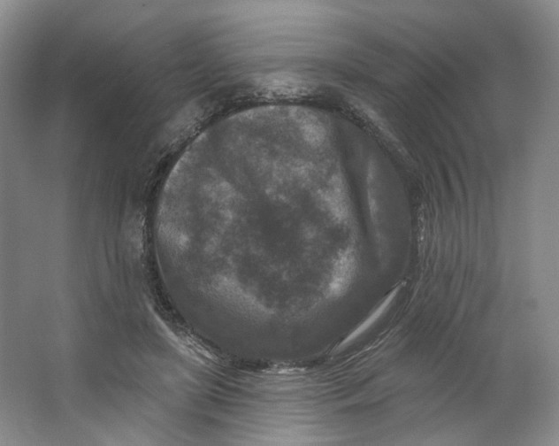 X0000062790451200601051050