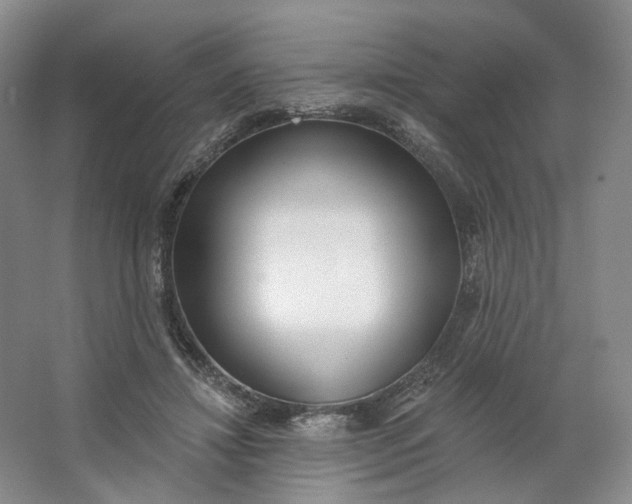 X0000062790452200601051050