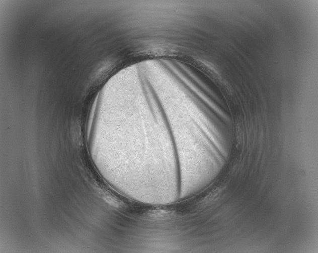 X0000062790453200601051050