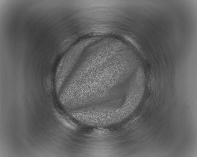 X0000062790455200601051050