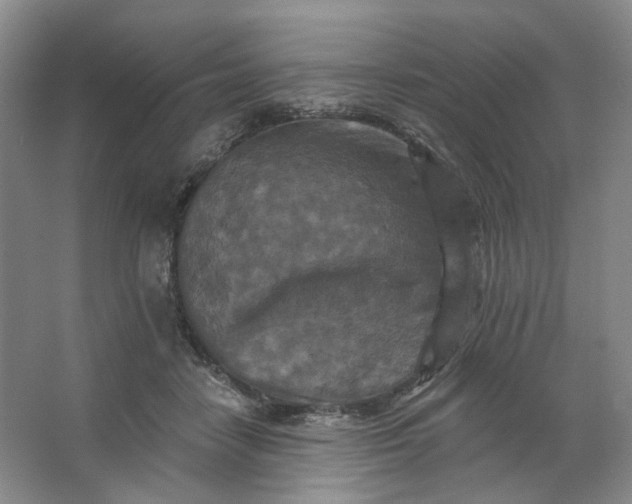 X0000062790458200601051050