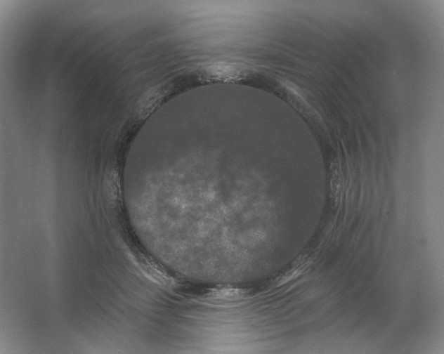 X0000062790459200601051050