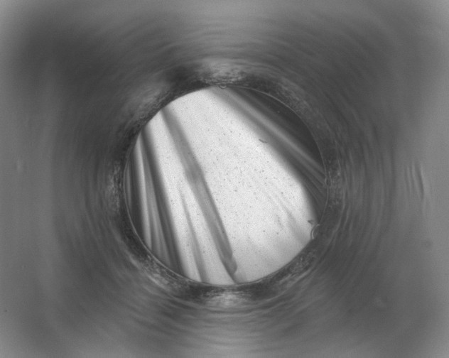 X0000062790460200601051050