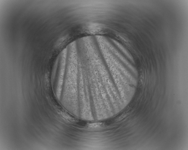 X0000062790461200601051050