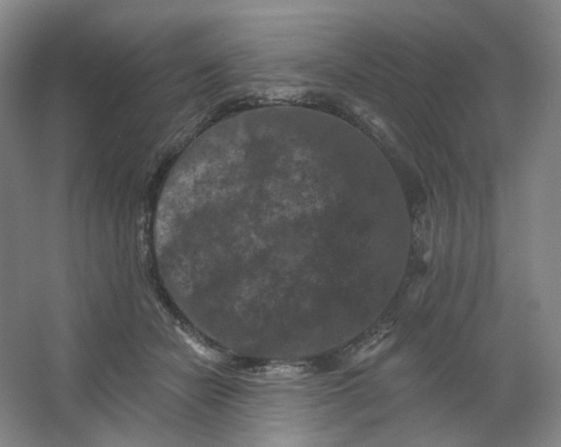 X0000062790462200601051050